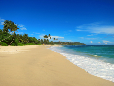 空旷的热带海滩，与白色的沙滩 棕榈树和绿松石海洋蓝蓝的天空下