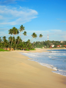 空旷的热带海滩，与白色的沙滩 棕榈树和绿松石海洋蓝蓝的天空下