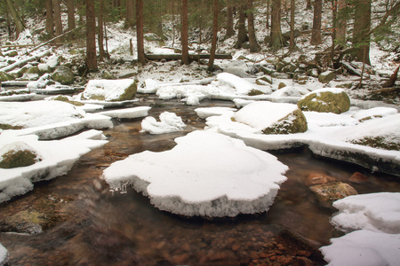 波兰森林的冬季河流。白雪覆盖的山岩石