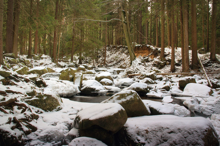 波兰森林的冬季河流。白雪覆盖的山岩石