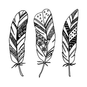 手绘装饰羽毛 艺术线条 zentangle 的一整套激励向量