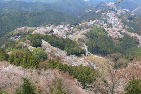 吉野水分神社，Yoshinoyama，奈良，日本