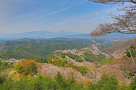 Yoshinoyama，奈良日本