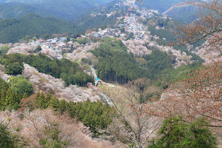 吉野水分神社，Yoshinoyama，奈良，日本