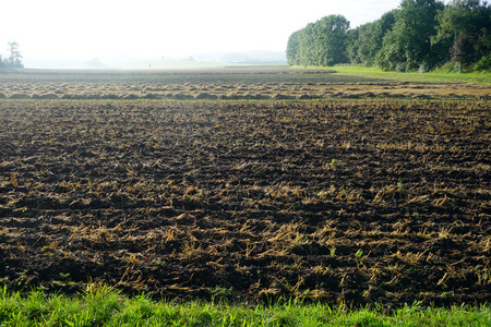 犁过的土地犁过的土地和树木在 swabia,德国照片