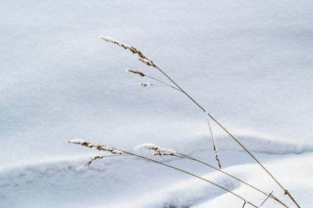 美丽的冬天风景与雪