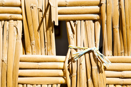 纹理竹子在摩洛哥非洲棕色