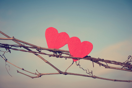 连接两颗心图片