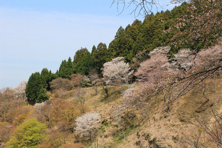 吉野水分神社，Yoshinoyama，奈良