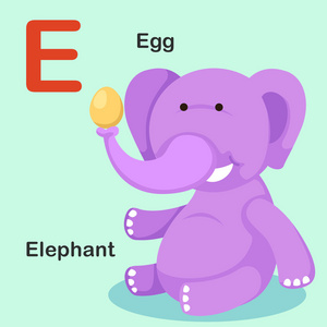 插图隔离动物字母表字母 e-鸡蛋,大象照片