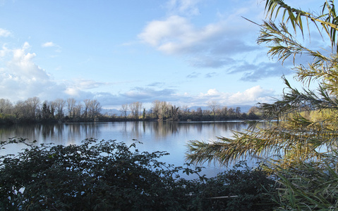 博齐萨迪尼在萨尔扎纳的一个小湖