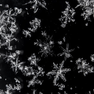 在黑色背景上的真正宏雪花