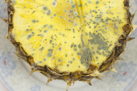 发霉的菠萝果 照片