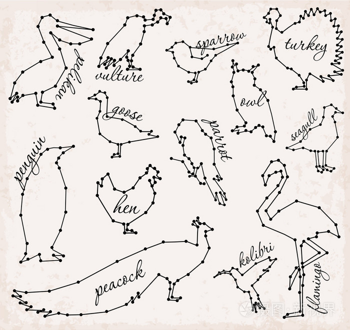 抽象的线条和鸟类设置矢量插图插画-正版商用图片1lac5h-摄图新视界