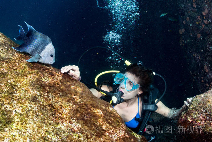 漂亮的拉丁潜水员女孩在触摸一条鱼时