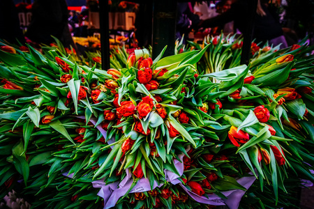 多姿多彩的鲜花在哥本哈根的花卉市场上的品种。园艺 弹簧 自然背景