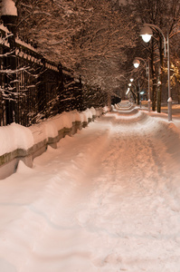 城市里的雪夜小路。明亮的灯笼灯。垂直视图