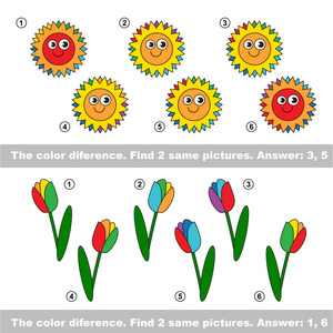 视觉的游戏。找到隐藏的对太阳和郁金香