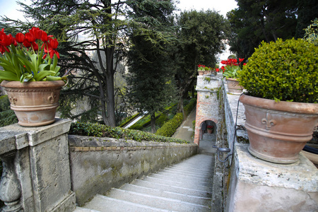 别墅埃斯特喷泉和蒂沃利花园附近的罗马意大利