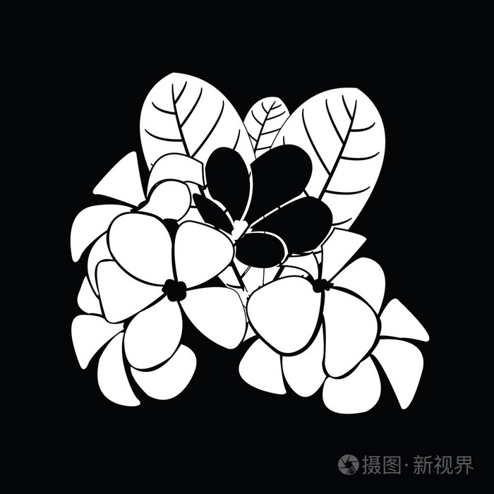 设计矢量的素馨花剪影插画-正版商用图片1lalfq-摄图新视界