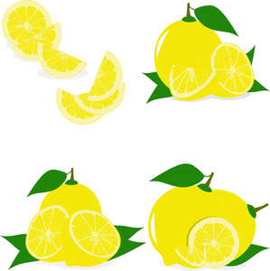 柠檬切片，矢量插图在透明背景上的集合