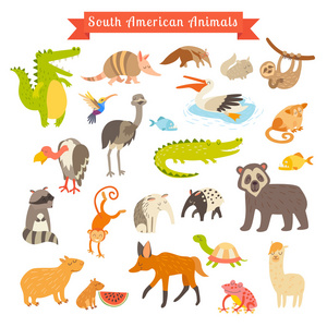 南美洲动物分布图片
