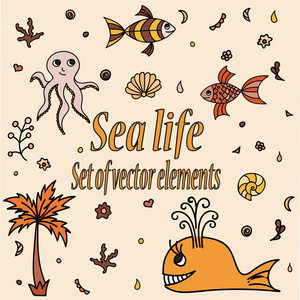 海洋动物和元素集。可爱的水生生物。手工绘制的插图与壳 鲸鱼 棕榈树 鱼 章鱼和珊瑚。矢量卡通图标。海洋生命