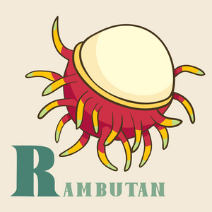 r 为红毛丹在手画样式照片