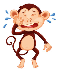 动物的眼泪图片