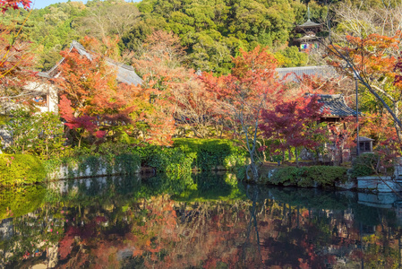 秋叶在 Eikando 寺