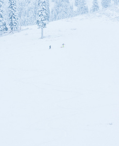 雪山小人们的景观观