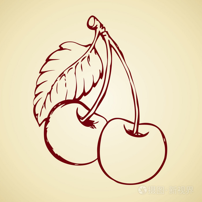 樱桃树.矢量绘图