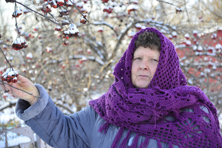 在她头上的紫色针织披肩的老太太是罗文