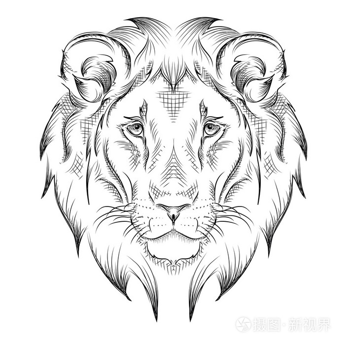 民族手绘的狮子的头.图腾 / 纹身设计.用于打印, 海报, t 恤.矢量图