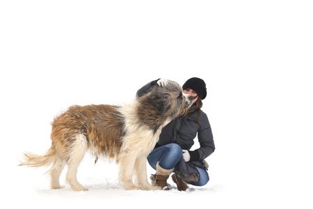 女孩一罗马尼亚的牧羊犬狗在洁白的雪地上 做我的情人。白色背景上