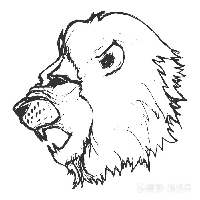 手绘grunge狮子的素描图