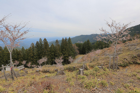 Yoshinoyama，奈良日本