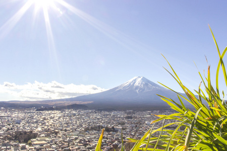富士山阳光与绿草前景照片