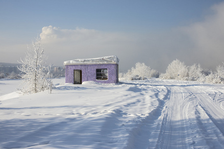 美丽的雪冬天景观