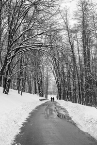 一个神话般的冬季城市公园的行人路