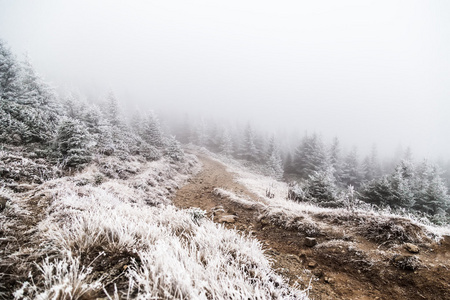 与雪的山间小道