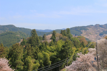 吉野水分神社，Yoshinoyama，奈良
