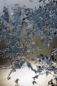 雪花飘在尘土飞扬的空间