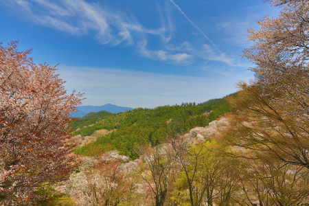 Yoshinoyama，奈良日本