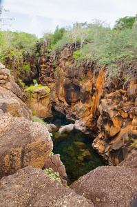 令人敬畏的自然悬崖，美丽小水池之间装潢由岩石地形与绿色植被，厄瓜多尔加拉帕戈
