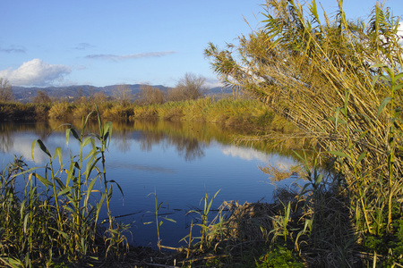 博齐萨迪尼在萨尔扎纳的一个小湖