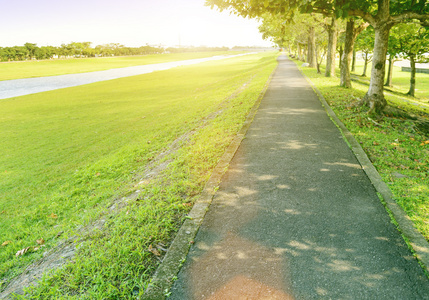 直废弃林荫距离 thr 渐渐退去的路径