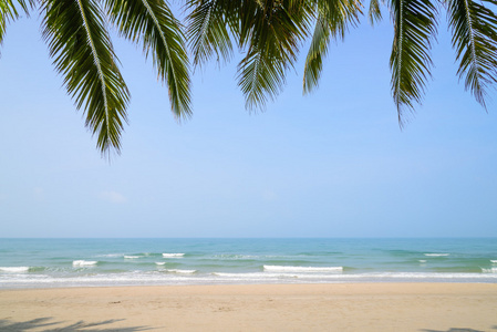 热带海滩与椰子棕榈在夏季时间