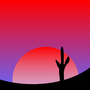 沙漠夕阳与仙人掌植物