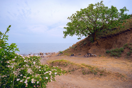 风景如画的地方附近的大海。沙班加来